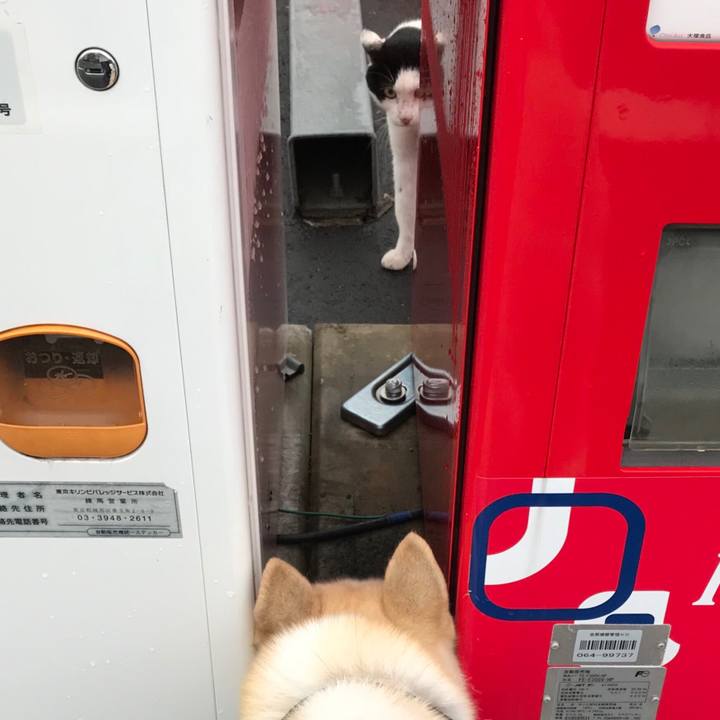 17935410 9d4c 495d a332 0aa7706dbda2 1529486078730