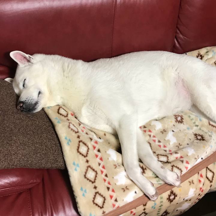 17937f76 678e 4d5b bc0d 0dadb96fb5f6 1518955842055