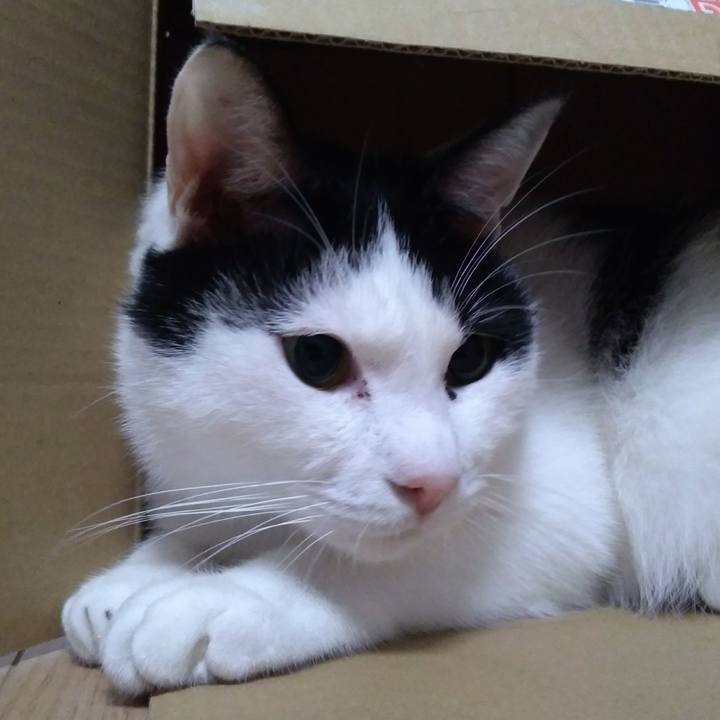 179382db 6b9b 4a37 9407 aa69def2c32c 1548501659685