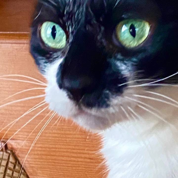 17938ee0 6e78 4ebf b4b5 61e814f2e3c8 1755605590404