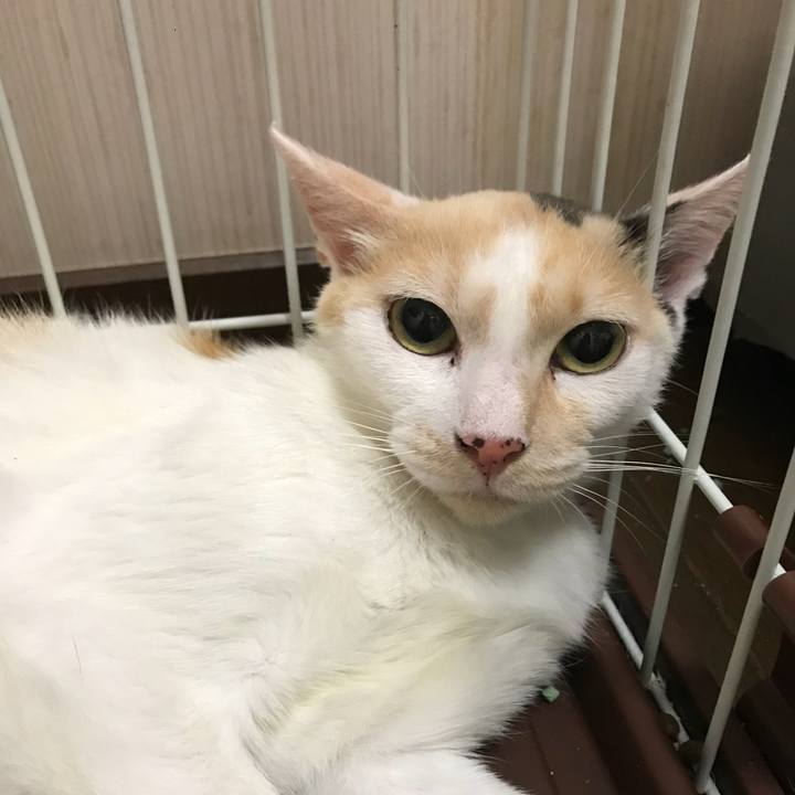 1793a633 7904 43e5 be99 7b81ed6458bd 1531318438529