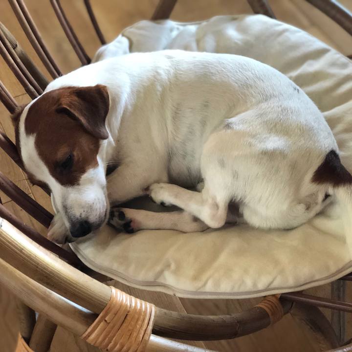 1793a759 a8d4 4ecb ac95 9535722ced2d 1564980277220