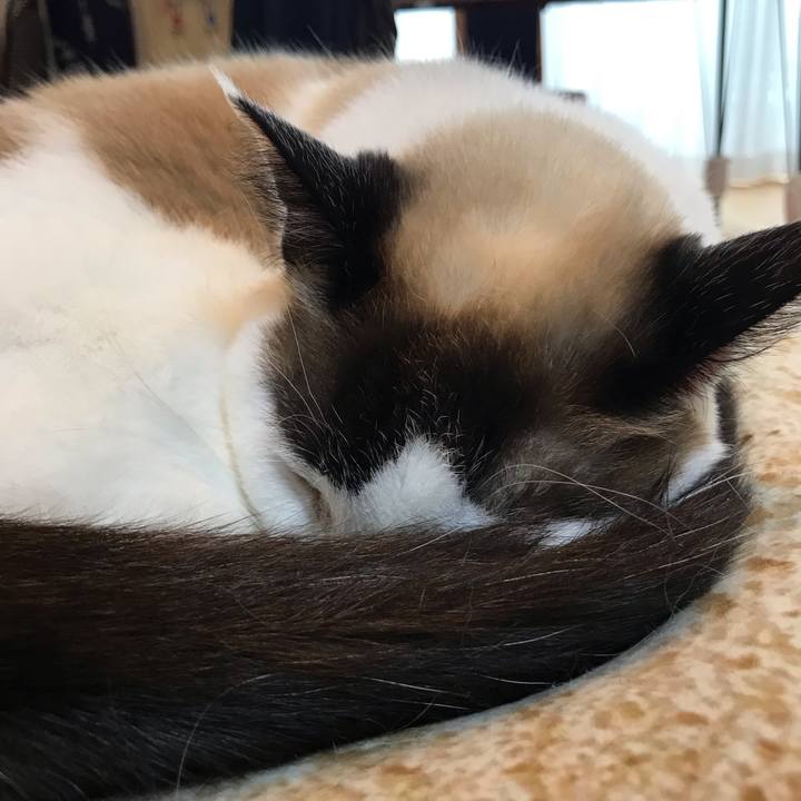 1793ad61 24bc 44a1 a311 40d8a78bbc0f 1585729718396