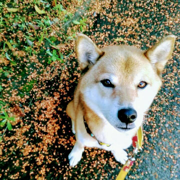 1793e396 9ffd 42d1 94d5 430a0bc65e20 1571792266911