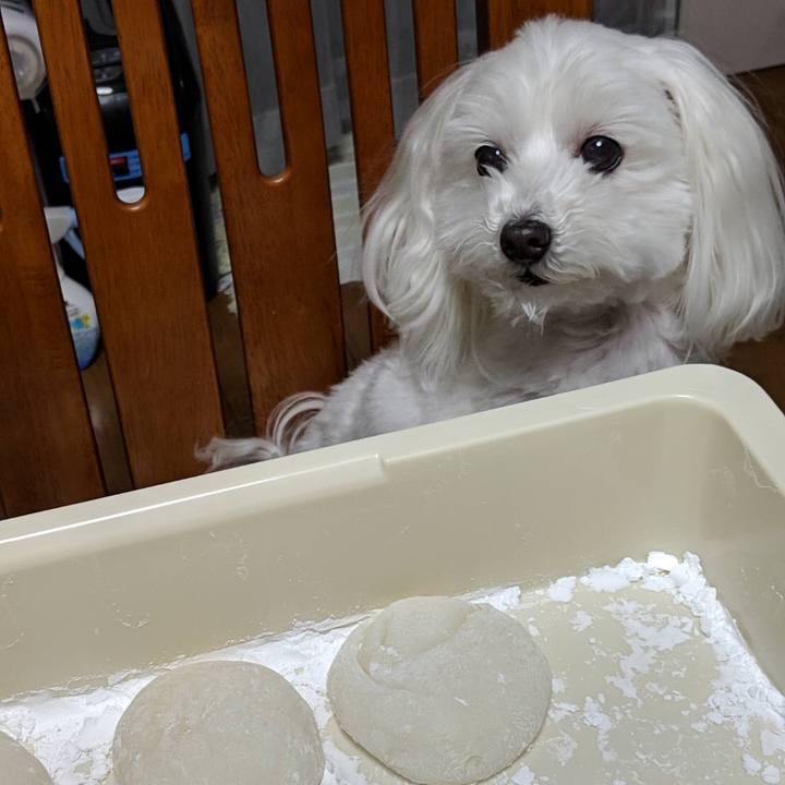 1793e70b bab3 40ae a97a d1ec0231ddb3 1546778352753