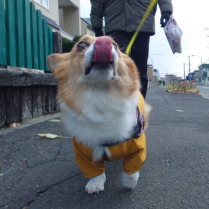 17940040 c793 4123 af5c 2b7fd02b830e 1763077650351