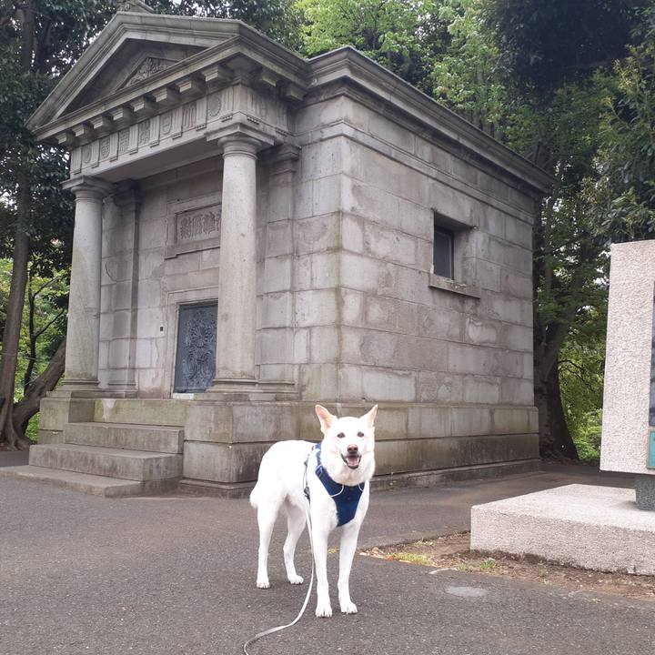 179402df cac4 4b2b 9571 fd6e91953ee8 1682150661466