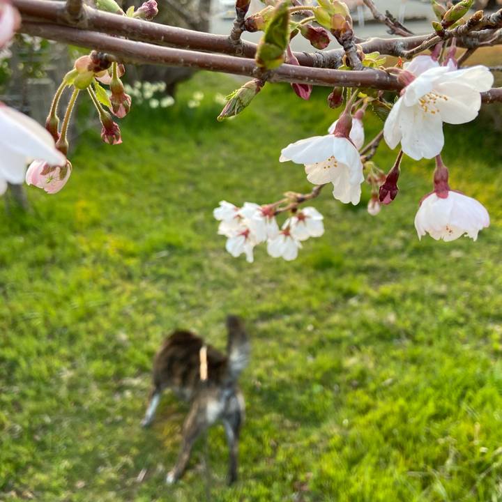 17941261 a2e3 47c3 8733 3863ba6addcc 1586250743294