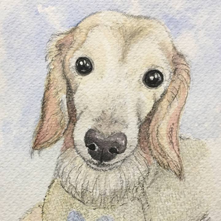 17947764 9c02 46a2 967f c0843a390196 1562154285875