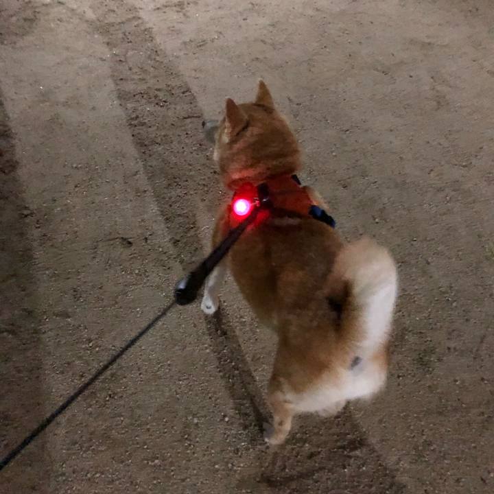 17947edf 5f47 4354 a2e5 bc1da3ac830e 1591147697289