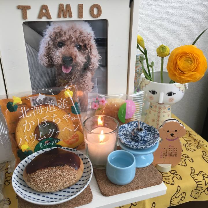 17947f81 b50f 4dcb 8ac7 6fe182956faa 1643790166080