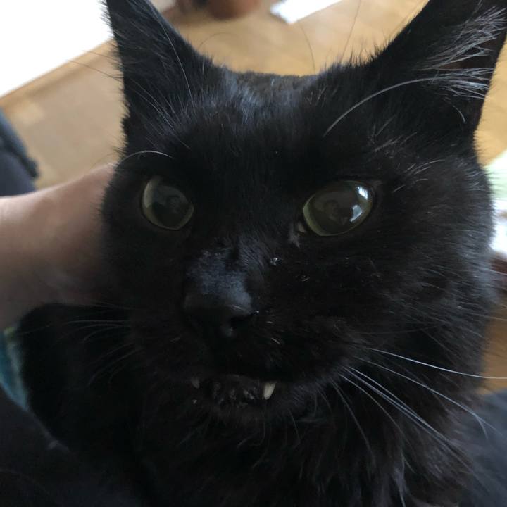 1794c4a8 9f33 4e3b 8361 5d53d929af9a 1636237080878