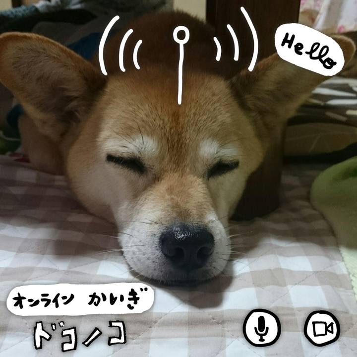 1794f581 2d6c 40a0 a308 c107e6d9b1b8 1590682011705