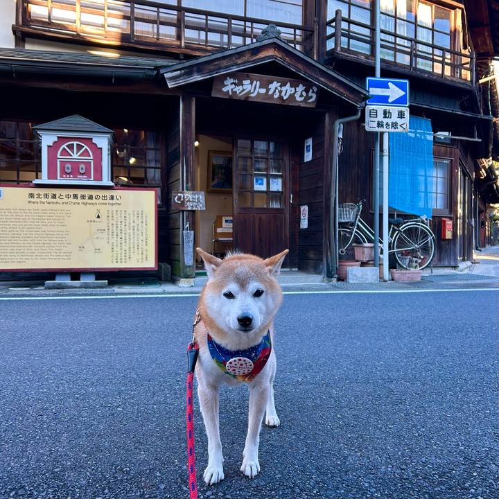 17950242 8e14 495a a9e7 eaf6e8eb505f 1732437617627