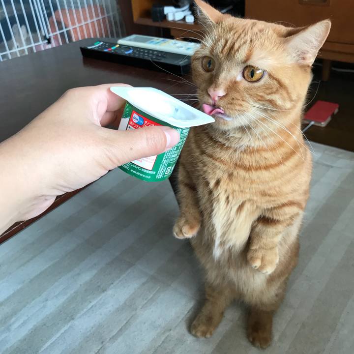 1795078a f6ec 4110 96d8 a3759dc1b8a8 1530061097277