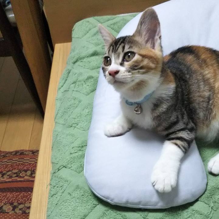 17952ba6 ac9c 43f5 98af beaa9ca770ba 1628277237465