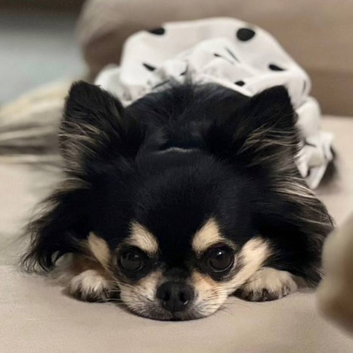 17955534 b590 4de4 b21a 9da6a36aeea6 1686263210064