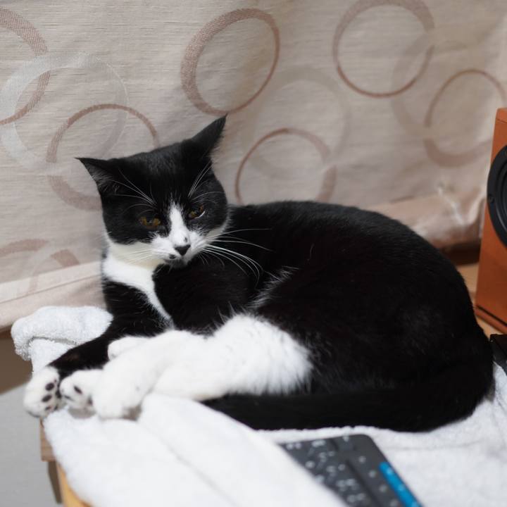 17956812 6e43 4861 945a 7248f1510faf 1625925335128