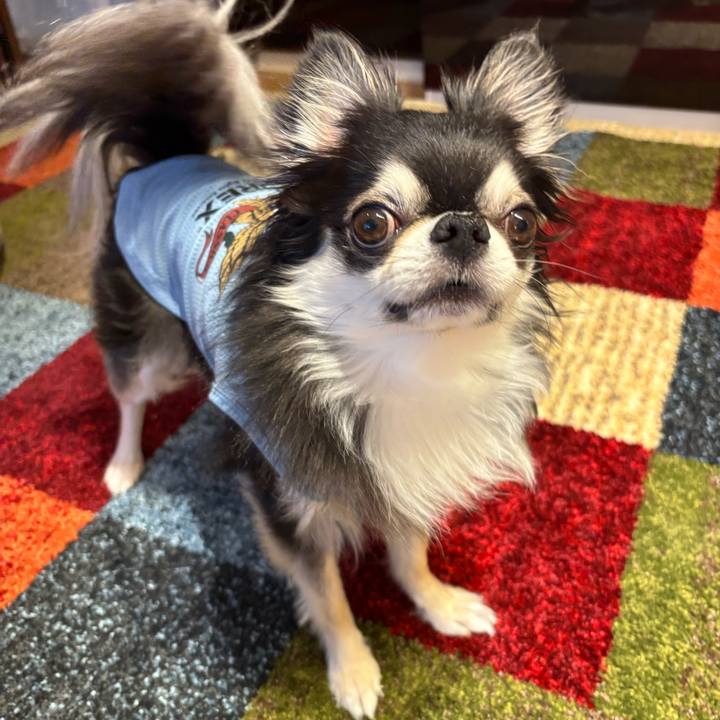 17963f77 a194 4f46 8dc8 a542c9ad6535 1746548837887