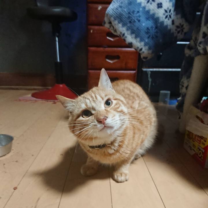 179670b1 e636 4ec1 90da e0034f5392ff 1649191889063