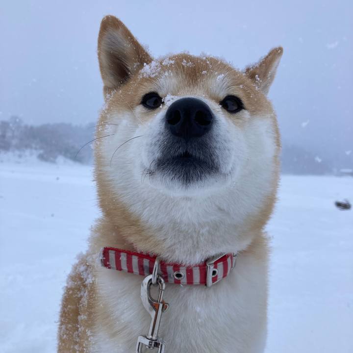 17967439 a4c1 4f8c bc91 c27f56c7310b 1675941592909