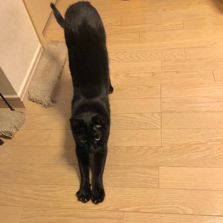 17967519 8549 413f 9139 2f1e2acaf067 1556025776672