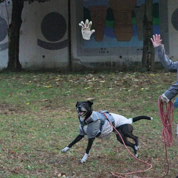 1796a431 870e 4359 9cfb a9456784e334 1764206104755