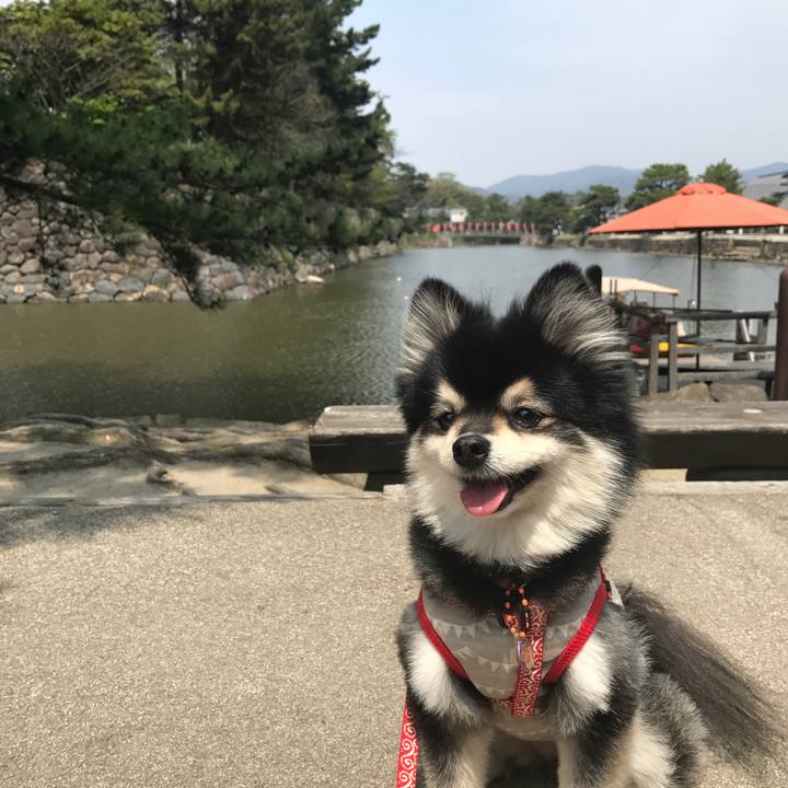 1796af87 71a3 49f9 8c87 f0c9aec56e62 1564891271688