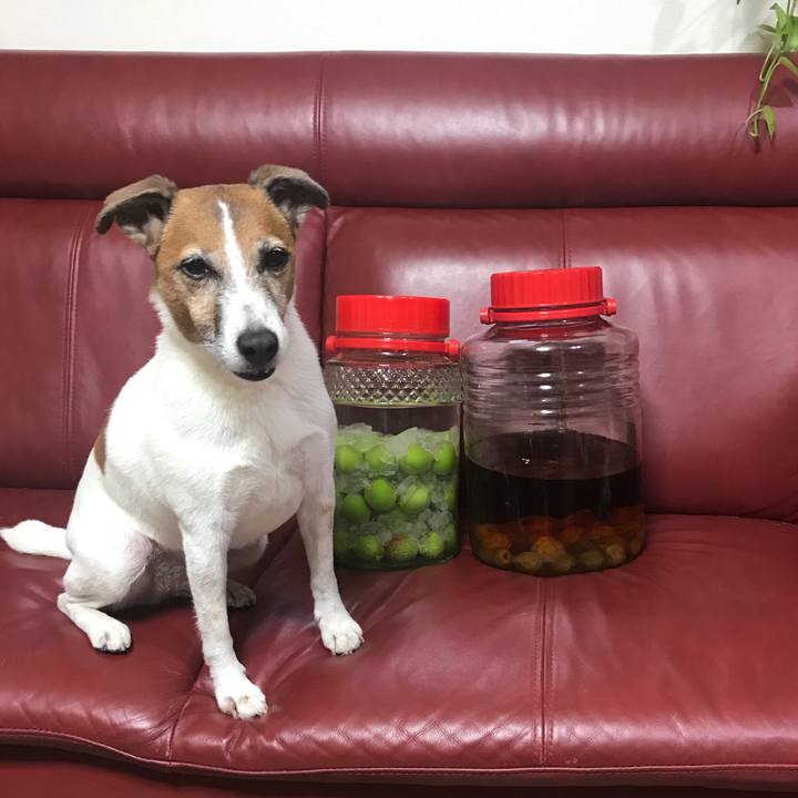 1796bd5c e3d9 4975 873f 47d2b9026f8f 1528636436611