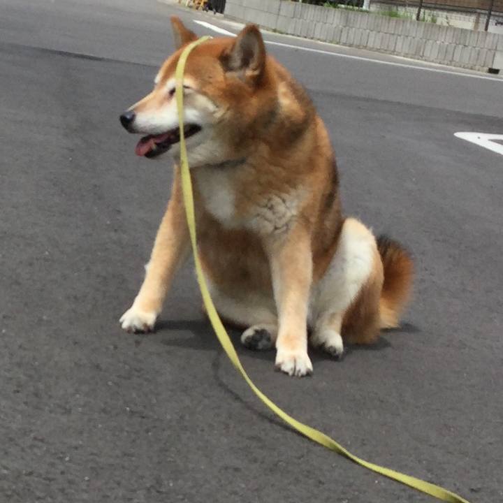 179713e1 9eb6 44c6 a66f 54f5caab11e0 1623462104804