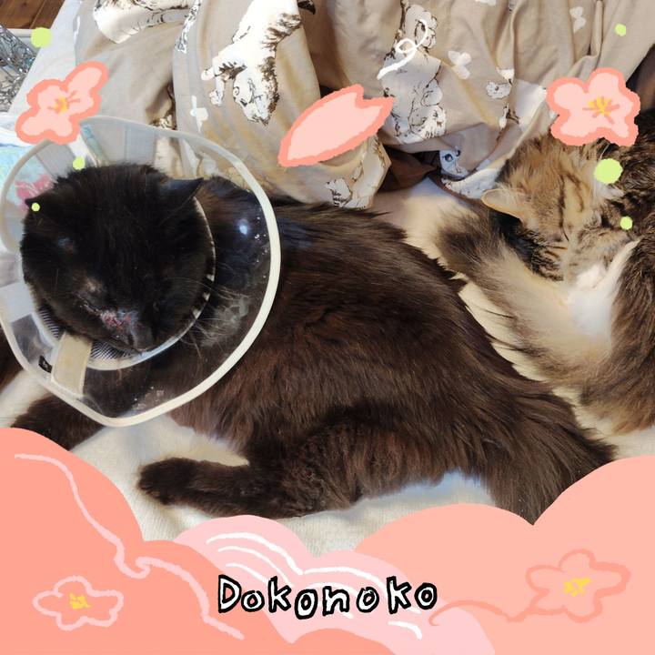 1797223e d534 47b8 9796 811bf126e633 1775388991033