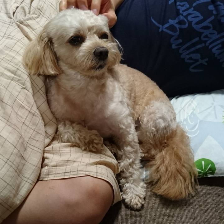 17973d74 3bc6 44f3 982c 3f327fc81139 1566298198218