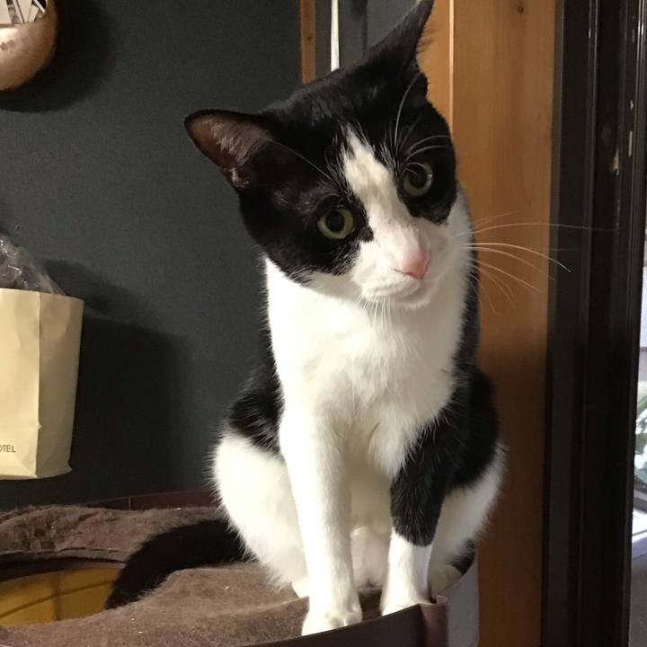 1797aa30 0f22 4b34 9bee 9d5cc9aed073 1716804396820