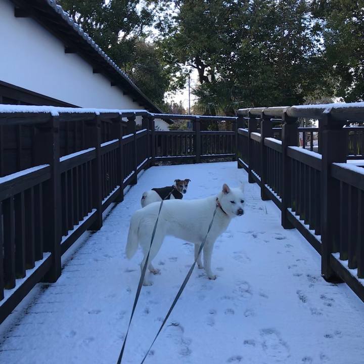 1797b00f 2ae5 4f54 8aa7 c5b48991dd3a 1518399243649