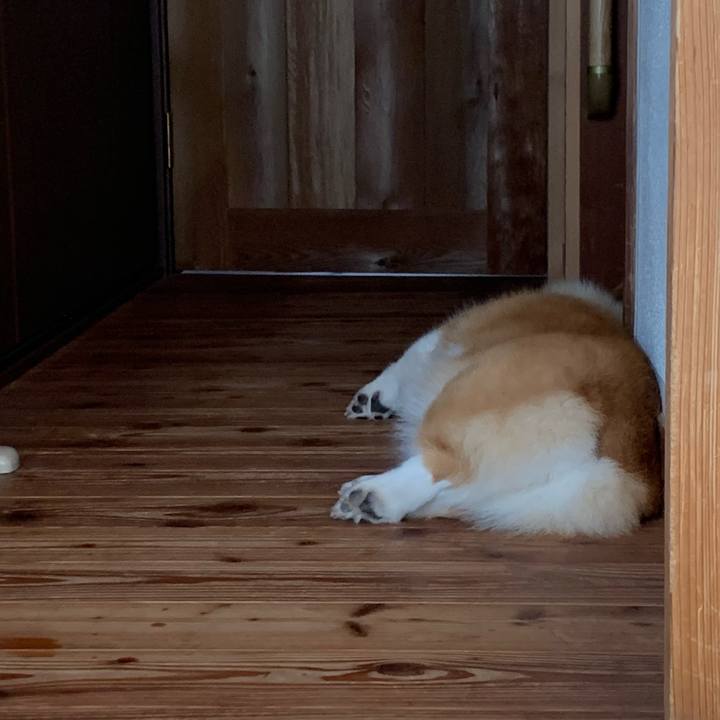 1797ba44 dd3b 41ea 8668 17df2da25202 1626139652867