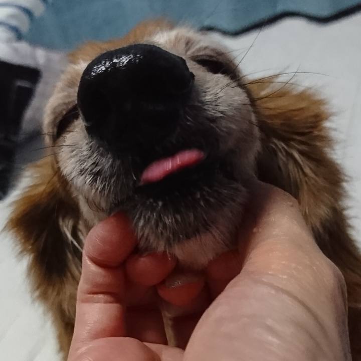 1797eb71 59a6 4272 ad3a 920e9cd215f1 1581183009654