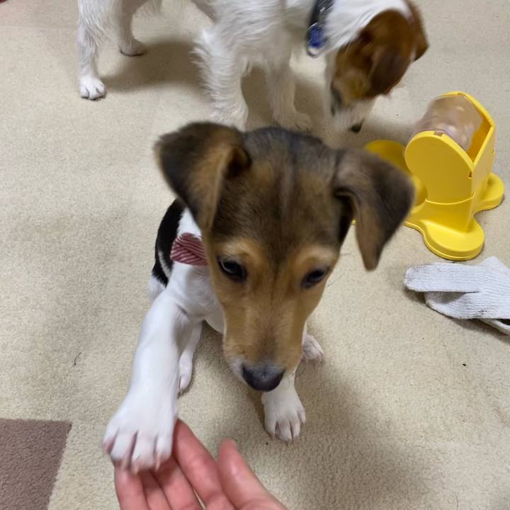 17981a64 cc54 4a16 adcd f91f1a4bb820 1744545819060