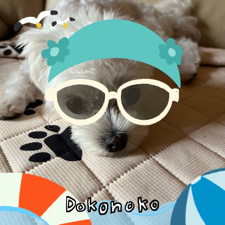 17982b9c 01e8 4018 a6fa 3c1d21ac5765 1723206228509