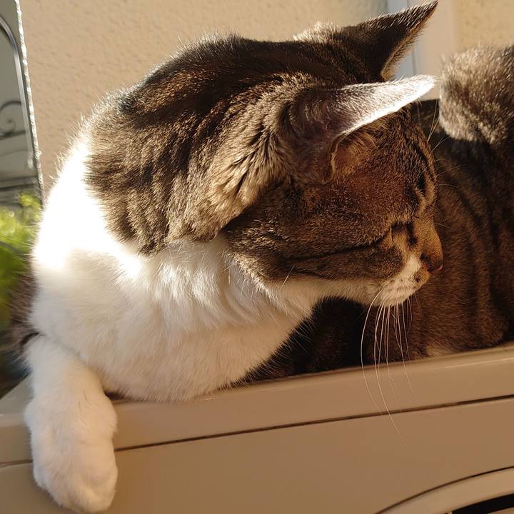 17987401 77e2 4546 a961 a805d5e524cb 1705888523273