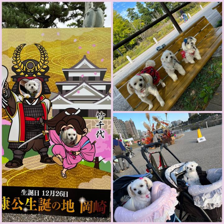 1798850f 6e10 45c4 ab71 7474768be8cd 1666440217020