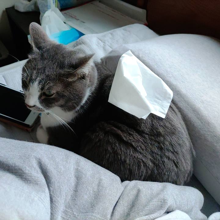 17989cac c241 4113 9b59 cfa61365bbc9 1673766402349