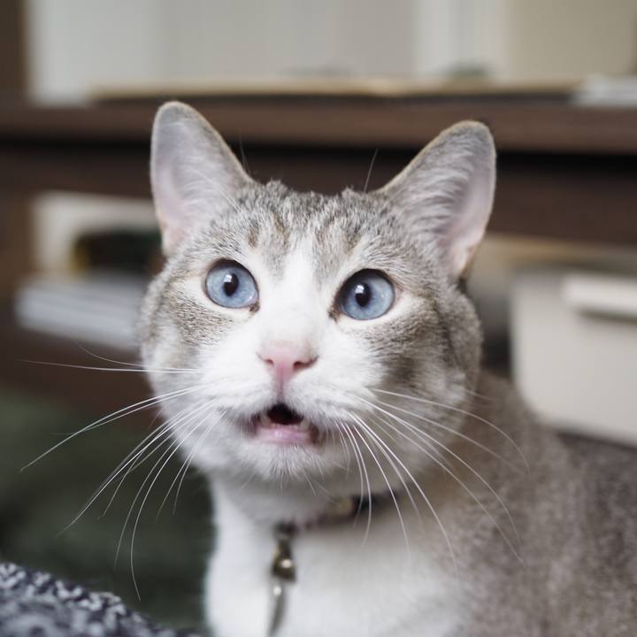 1798b3cd c361 4980 a362 404cd09f8f59 1625627394199