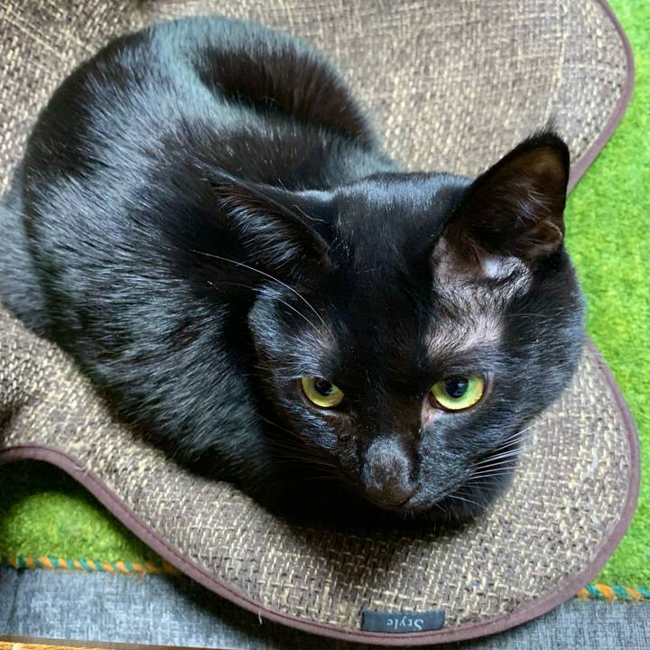 1798e0e4 c195 41ef 8632 442c3c3d56e4 1673859602924