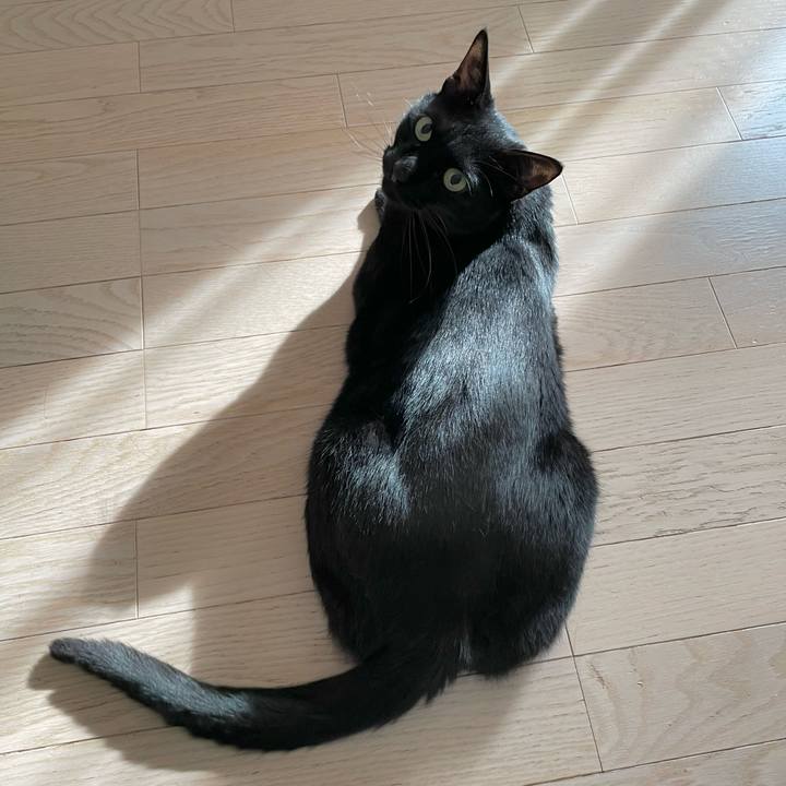 17990084 f9cb 46f3 a4cf 6150f894e8bc 1651847225883