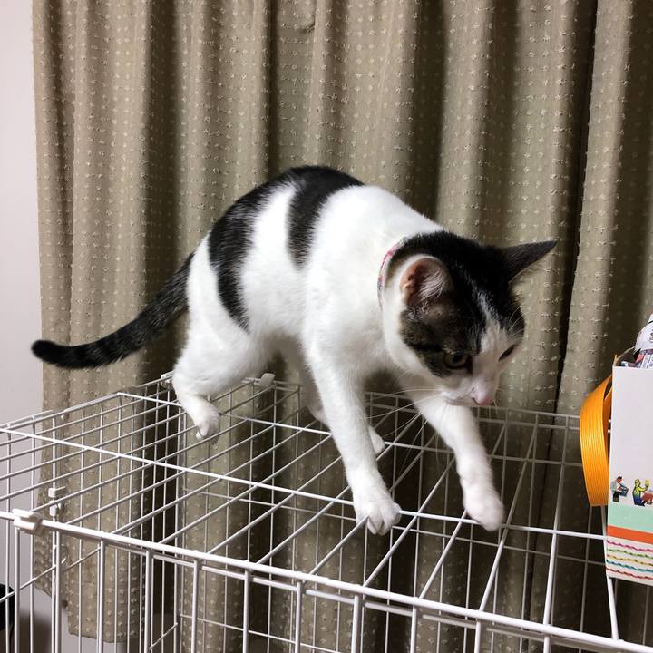 17994ed0 05bd 4b9e 9344 4a197facc535 1606307478016