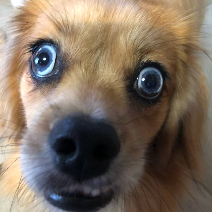 17995c1d cd81 4227 8743 4c777c7bf65c 1534888093251