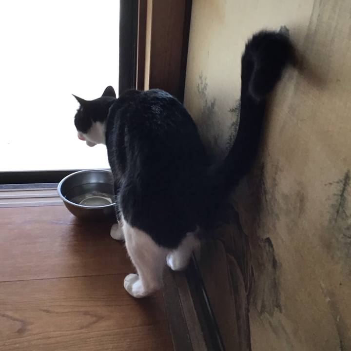 179960eb b9d4 45da 9f6c 874a10f6499b 1689165469595