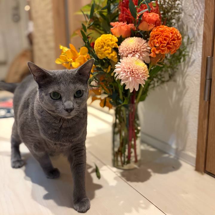 1799b2d9 b2d2 4f09 b42c 6105275d0a9e 1760797887903