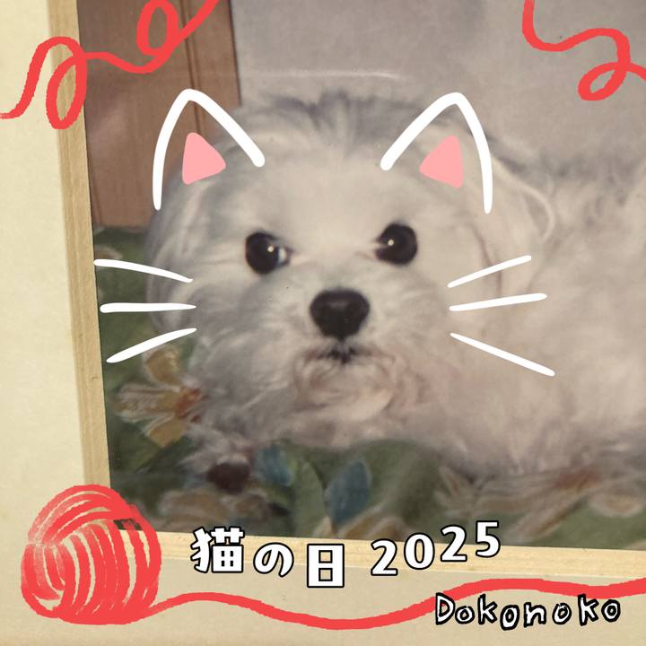 179a9cb9 6b69 4a9e abd9 3e7f9357472e 1740225858470