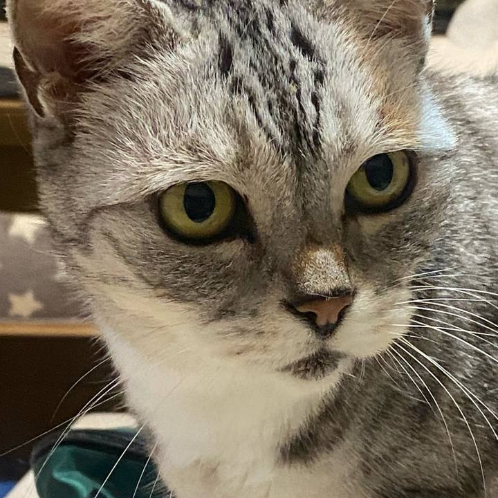 179aacd0 8393 4a5c b898 b83c09474628 1730716200733